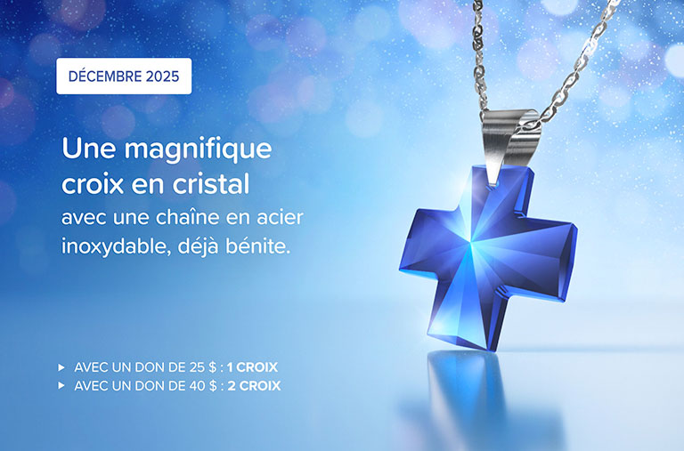 Cadeau du mois de décembre - Une magnifique croix en cristal